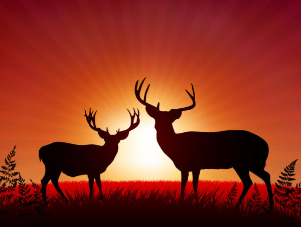 Deer processing, price information | family owned meat processor Missouri